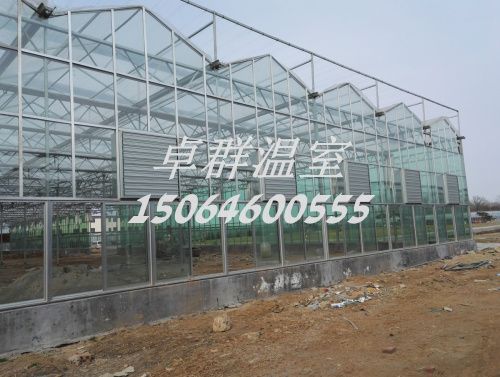 內蒙古包頭市紋絡玻璃溫室。