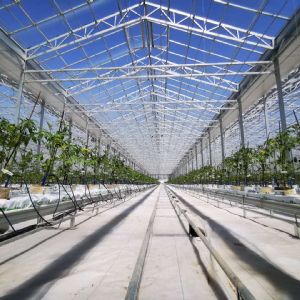 <img src=upfile/images/2021/04/28/small3_16195691272507154.jpg height=150>