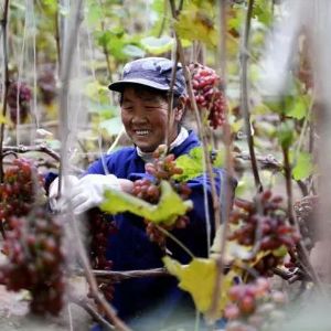 <img src=upfile/images/2021/12/22/small3_16401392206153791.jpeg height=150>